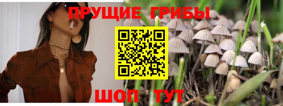 Галлюциногенные грибы мухоморы Пыть-Ях